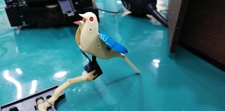 IMG_20240902_172559.jpg